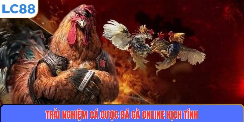 Tham gia cá cược đá gà trực tuyến – gay cấn và đầy kịch tính